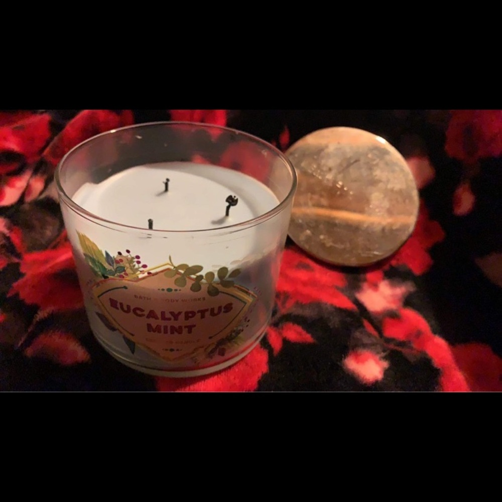 Burned eucalyptus mint bath and body works 3 wick candle
